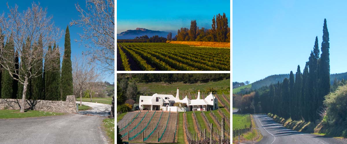 Weekend getaway by the coast in Hawkes Bay, stay in a boutique accommodation with an european styl design