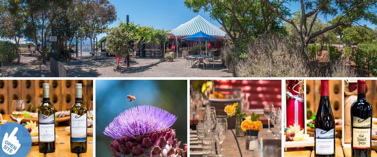 Clearview estate winery, casual restaurant, table setting with cheese platters, Clearview vineyard cottage accommodation