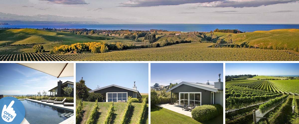 Millar Road Villas outdoor view, with swimming pool. Panorama view from the vineyard accommodation overlooking the vines and in a distance the sea